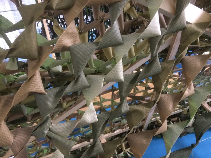 ������ ������