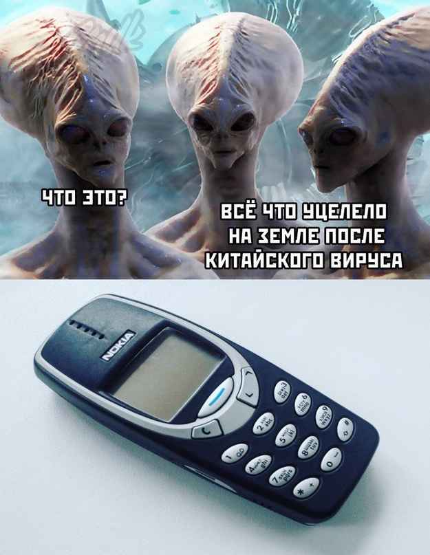 20   ,   , , Nokia 3310