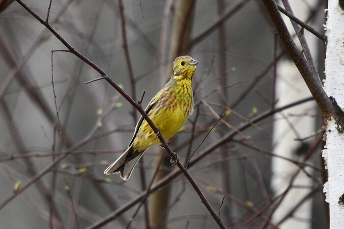 ������� ���!