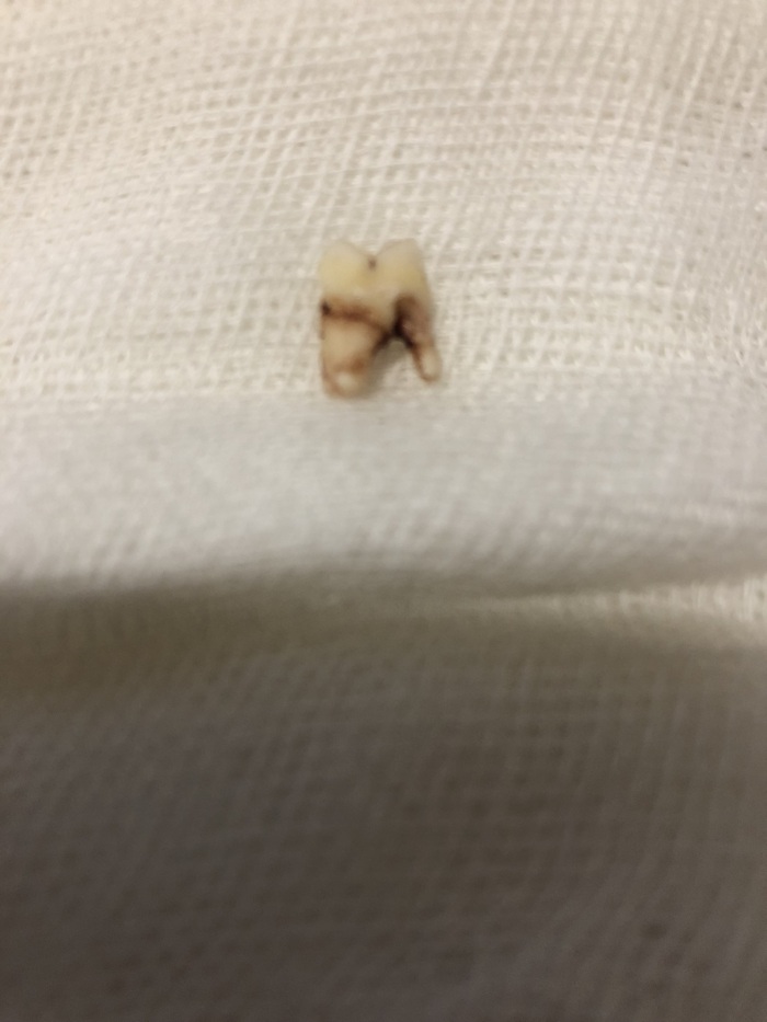 ��, ����� ���������! ������ ���, ��� �� ��� ��������? ���� ��� �������, �� �������.