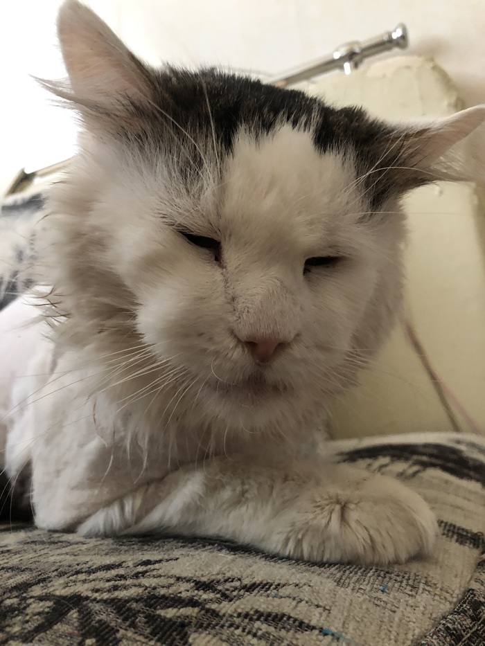 ������� ��� ������ ����� � ����� ������, ����� �������� � �������))