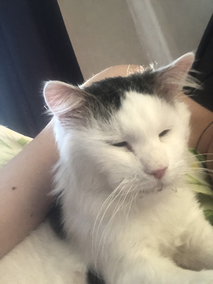 ������)))