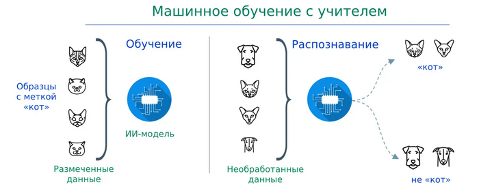 <a href="https://pikabu.ru/story/pravda_li_chto_v_umnyikh_magazinakh_bez_kass_ot_amazon_vmesto_iskusstvennogo_intellekta_rabotala_tyisyacha_indiytsev_11314202?u=https%3A%2F%2Fabeyon.com%2Fhow-do-machines-learn%2F&t=%D0%98%D1%81%D1%82%D0%BE%D1%87%D0%BD%D0%B8%D0%BA&h=3884b998053dfa3395120ea4e4a823c4e2784fac" title="https://abeyon.com/how-do-machines-learn/" target="_blank" rel="nofollow noopener">��������</a>