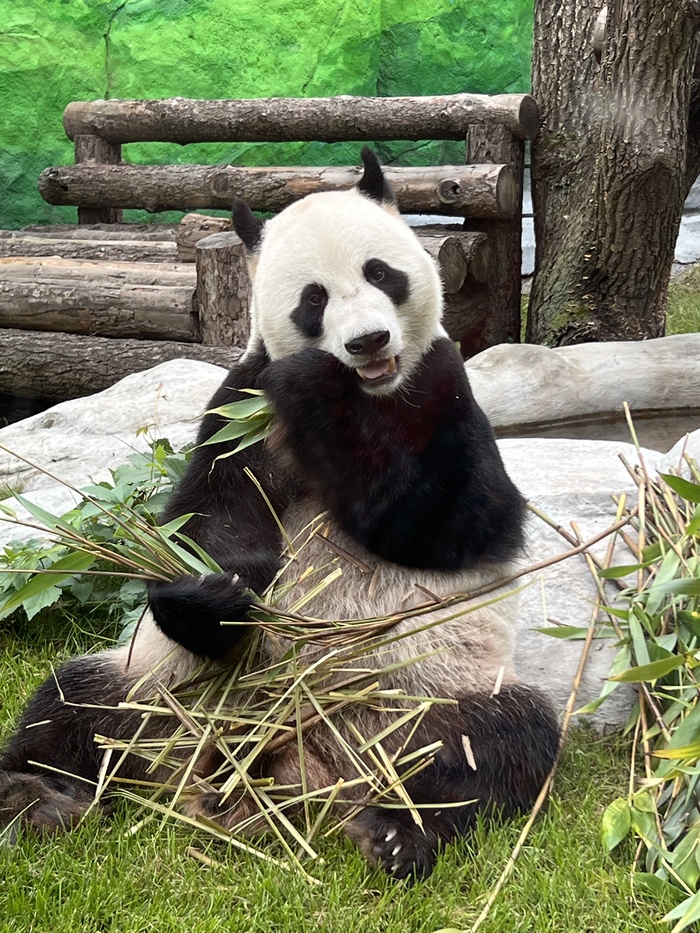 Московский зоопарк