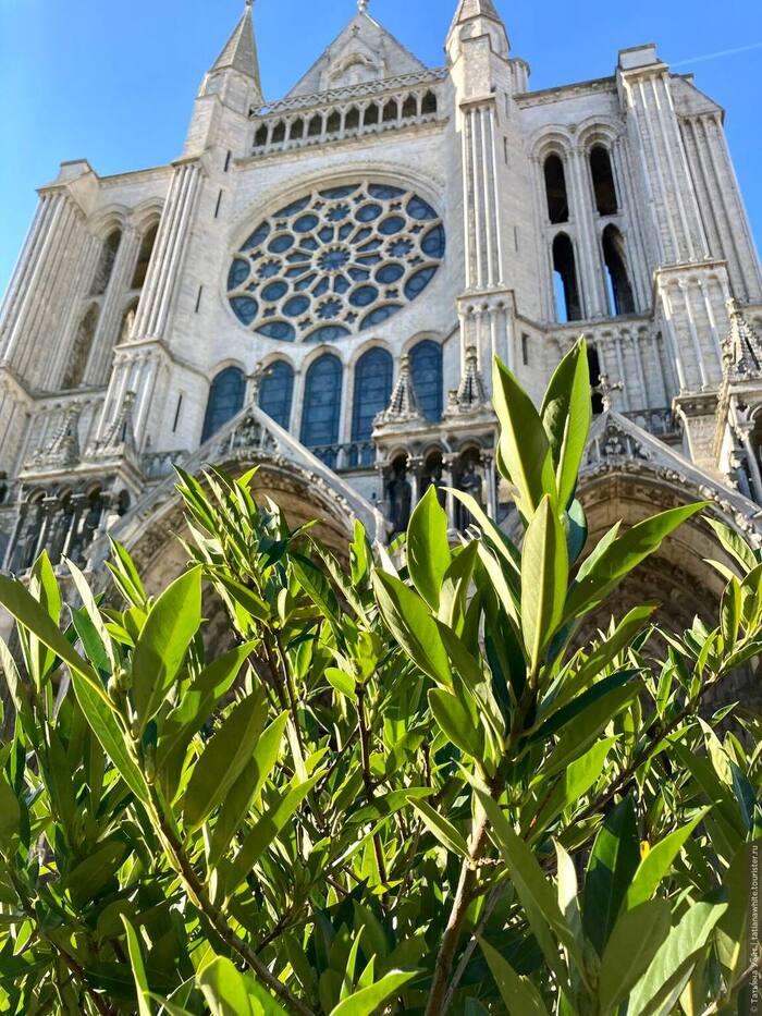     (Cathdrale Notre-Dame de Chartres)   , , , , , , 