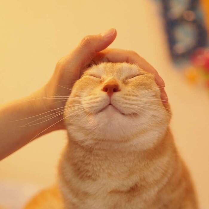 �� �� �����������, �� ���������������