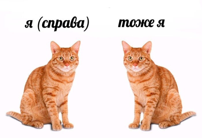 �� �� �����������, �� ���������������