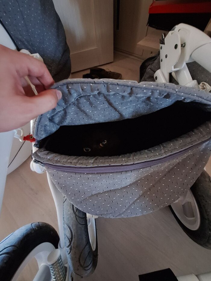 ���� ����� �������� � ������