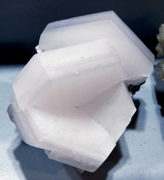 ������������ ��������� ��������.