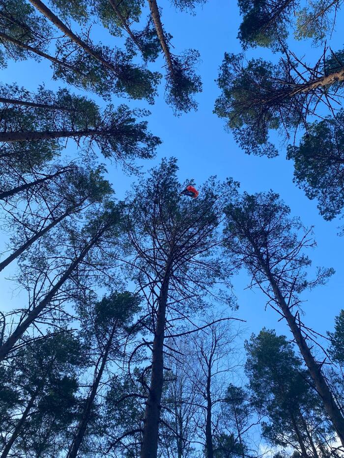 Налетался и спит, скотина.