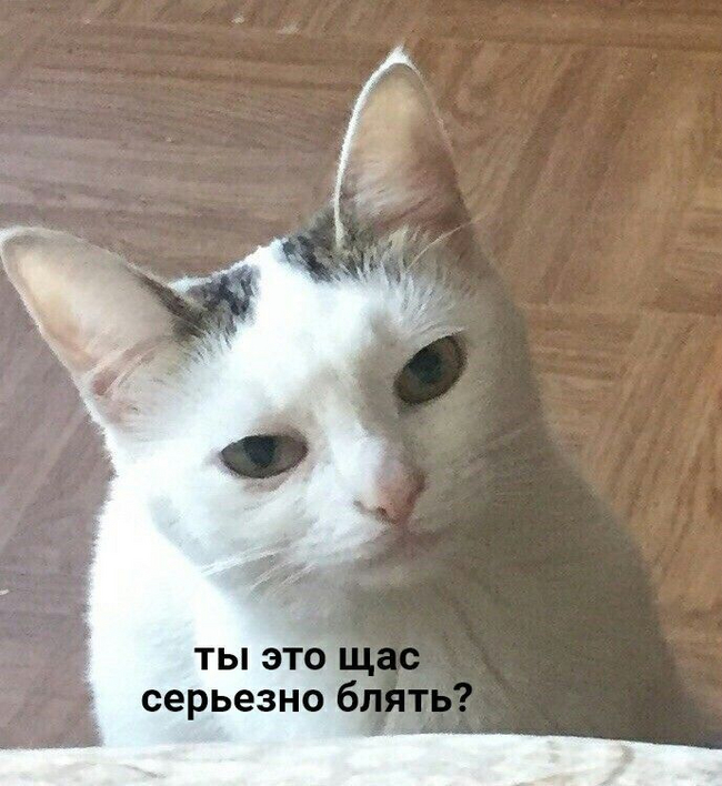 Древолазы зачем покупал?