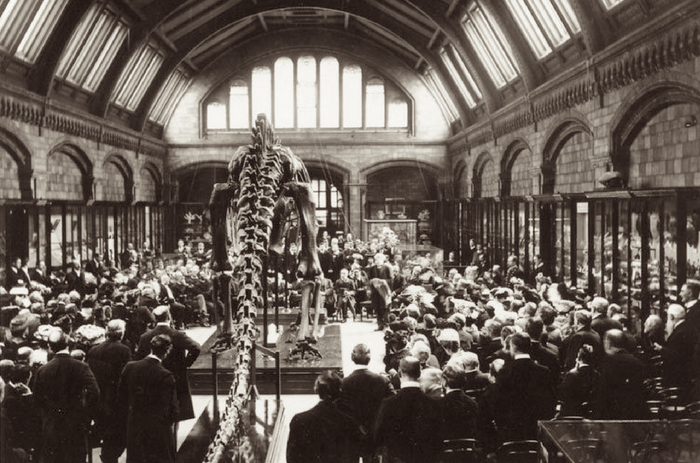 ������������� ������� ����� ������� ���������. ������, 1905 ���