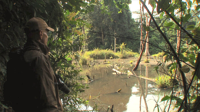 ������ � ����� �������, ���� �� ��������� ����������, ������� �������� ������-������