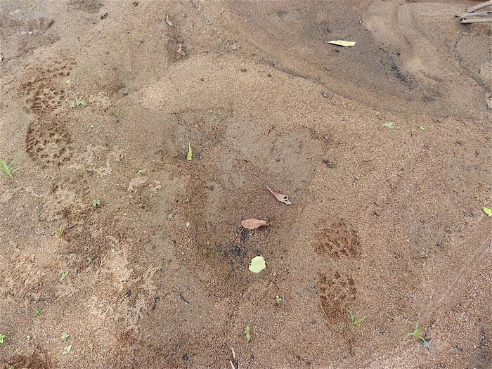 ������ ���� ��� ������� ����? ����������, ��������� �� ����� ��������� ������������ ���������� ��� ������ ������-������ � �������-������ 2015-16 ��.