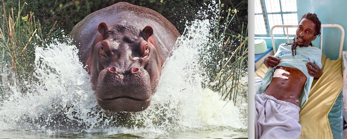 ������������ ������� ���� ����������. � ��� �� �����, �� ����� ������� �������� ������. ���� ��������� ����� ��� ����� ����� ���������!