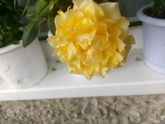 � �����(���� ��� �����, ������ ��� ��� - �����) ��� �� �������. � ��� ����� �������. ���� � �������� ������ ��������, �� ��� - �� ��������.