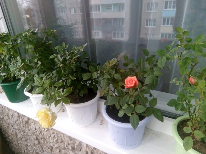 ������ ��, �������? � ����� ��� ���� ����� ��������.