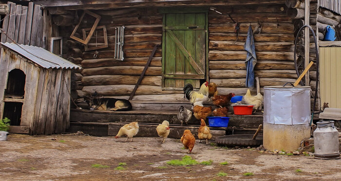 <!--noindex--><a href="https://pikabu.ru/story/zloveshchiy_gost_manskogo_doma_11326163?u=http%3A%2F%2Fs3.fotokto.ru%2Fphoto%2Ffull%2F414%2F4142257.jpg&t=http%3A%2F%2Fs3.fotokto.ru%2Fphoto%2Ffull%2F414%2F4142257.jpg&h=35515fbd6fddc93445da9b0b0a55b627cacd9430" title="http://s3.fotokto.ru/photo/full/414/4142257.jpg" target="_blank" rel="nofollow noopener">http://s3.fotokto.ru/photo/full/414/4142257.jpg</a><!--/noindex-->