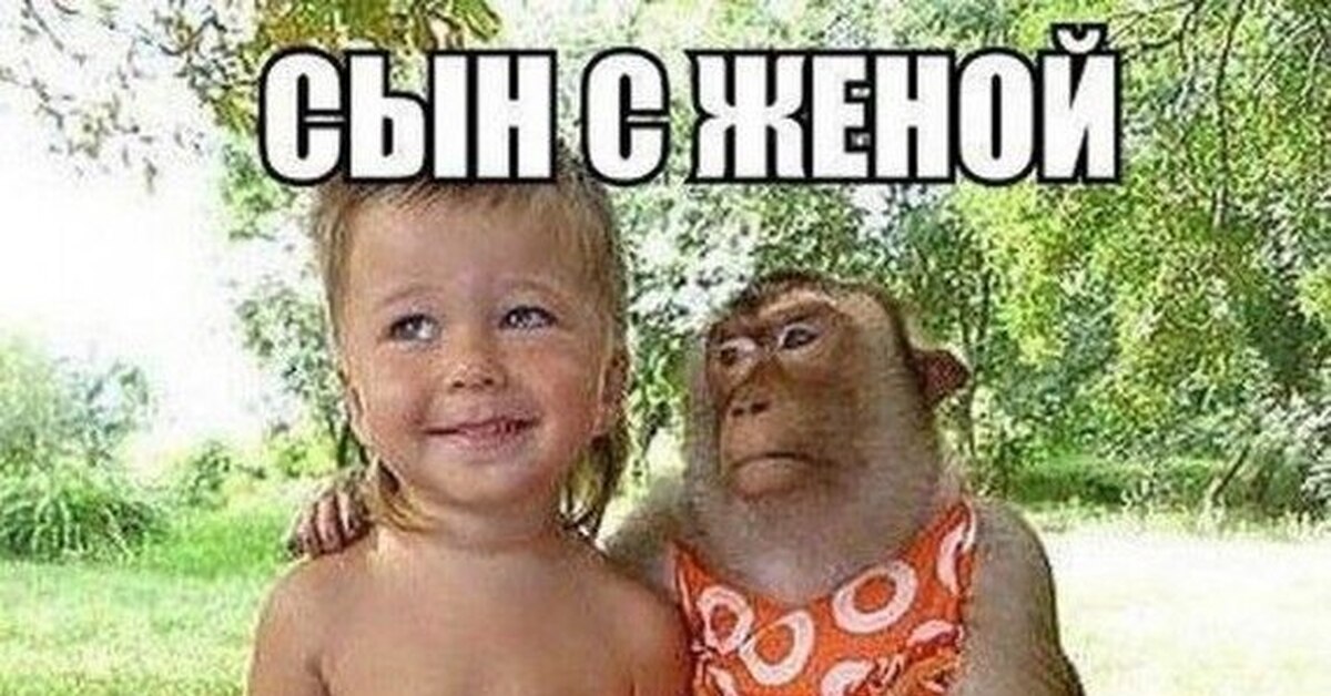 Сноха глазами свекрови. Сын с невесткой глазами свекрови. Сын с женой глазами свекрови. Невестка глазами свекрови. Сын с женой глазами свекрови фото