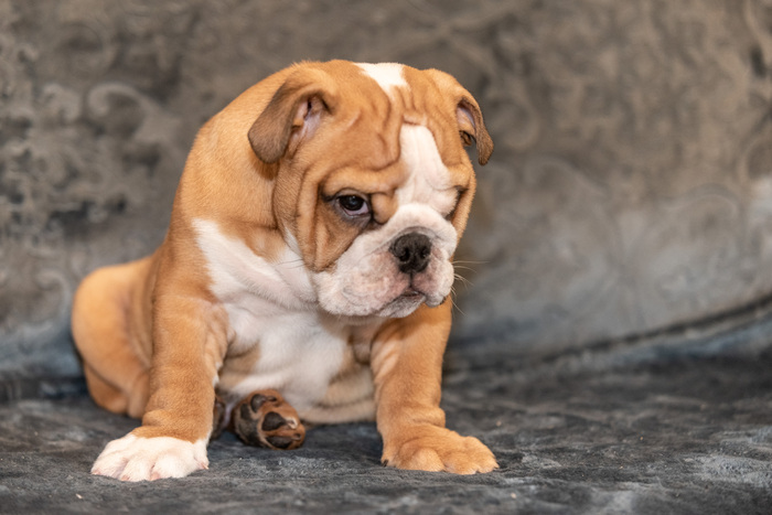 Ребенку 3 месяца