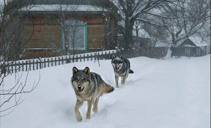 ����� ��������� �� ����, ����� ������� � �������. ����� ������� ����������� ����� ����������������� � ��������� �����������!