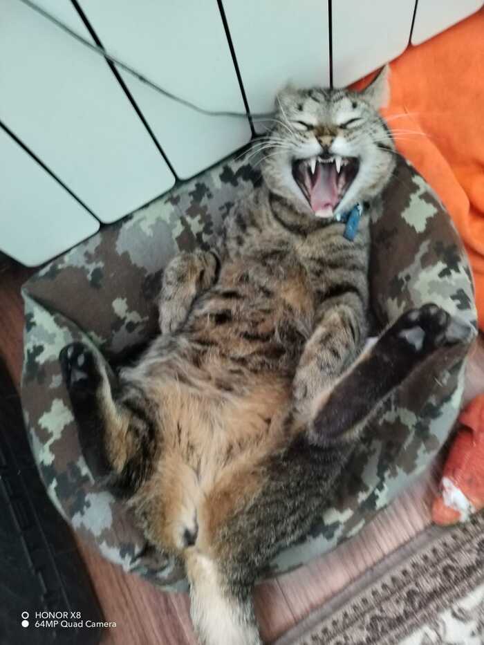 �������� ��������� ����