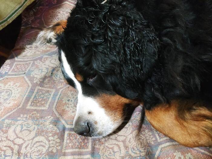 �������� ������.