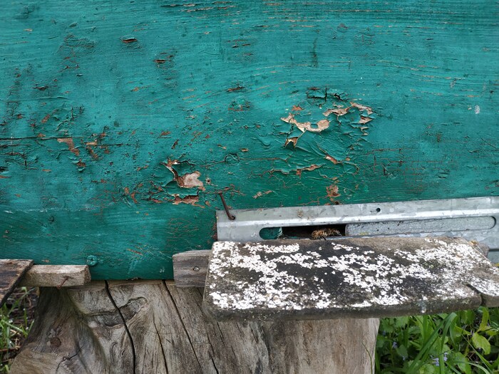 �� ���������. �� �� ������.