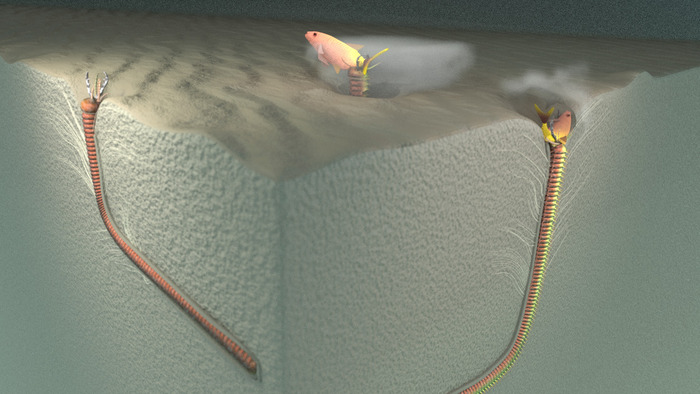 �������� ��� ����� ������� ����� � ������