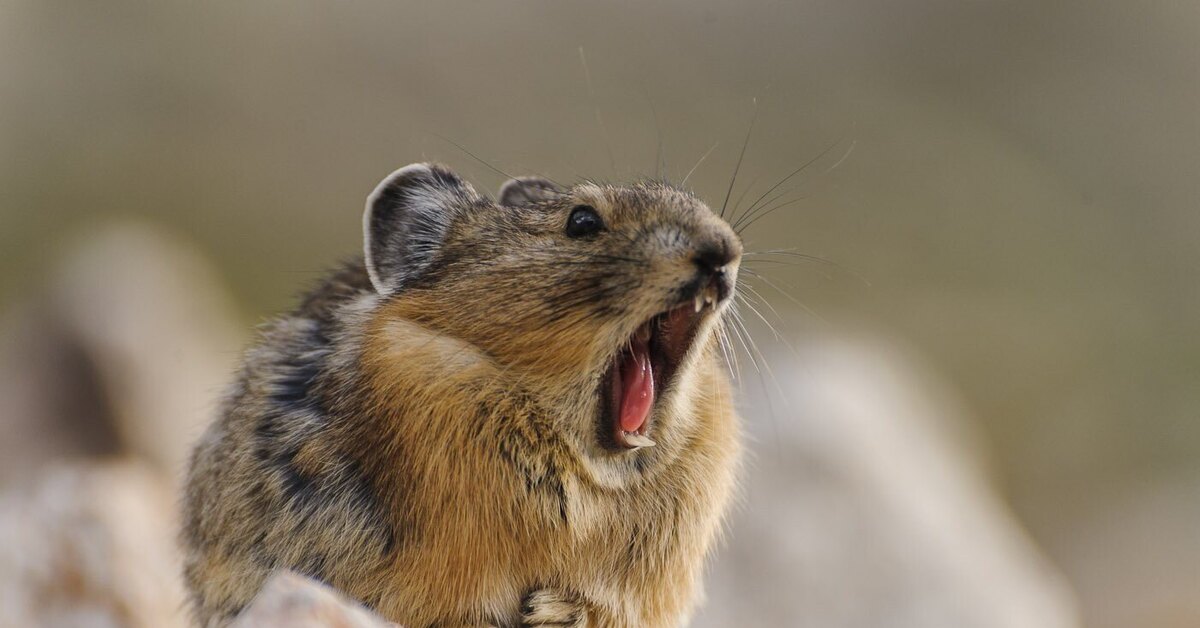 Когда мы свернули не туда? | Пикабу