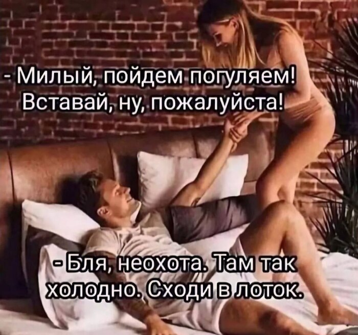 Милый, пойдем погуляем !