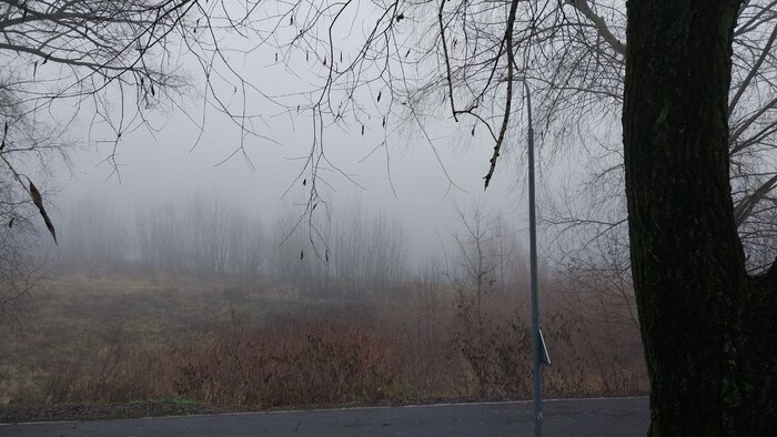  Silent hill Silent Hill, , , 