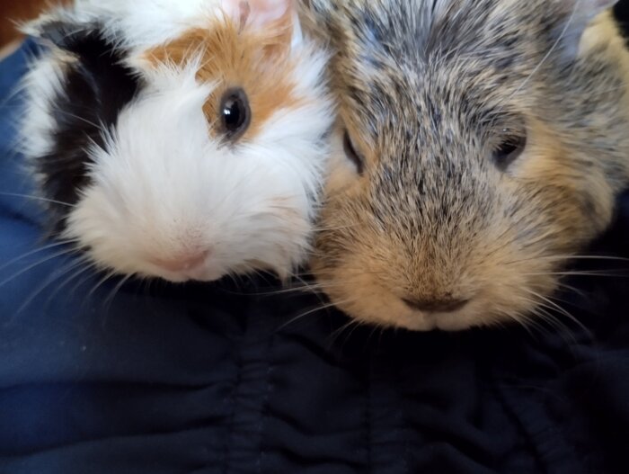 ������� � ����