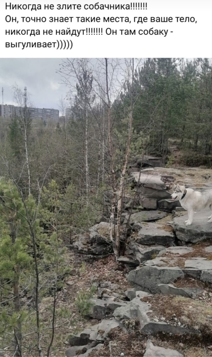 Не злите собачника!)