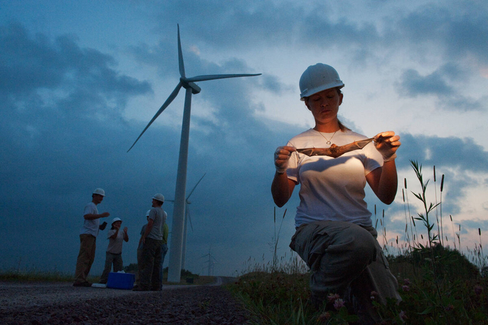      ,   :   ,     30 000  800 000 .