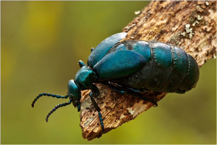 ,  ?        ! ,   , !