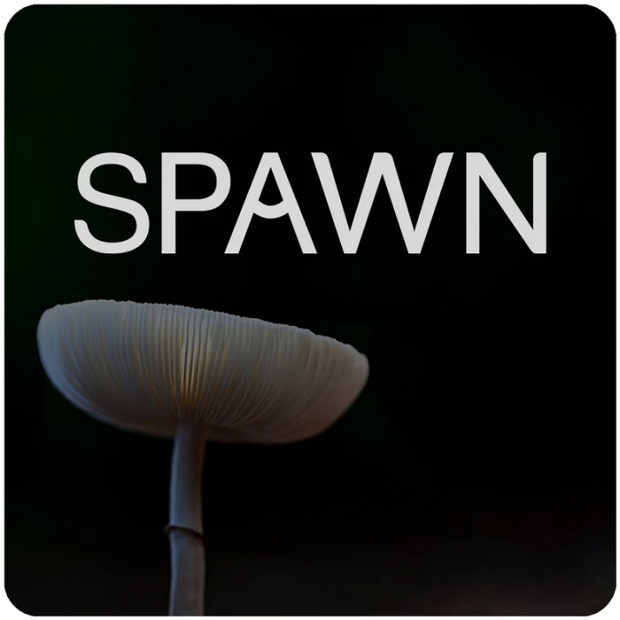  "" Spawn         , , , , 