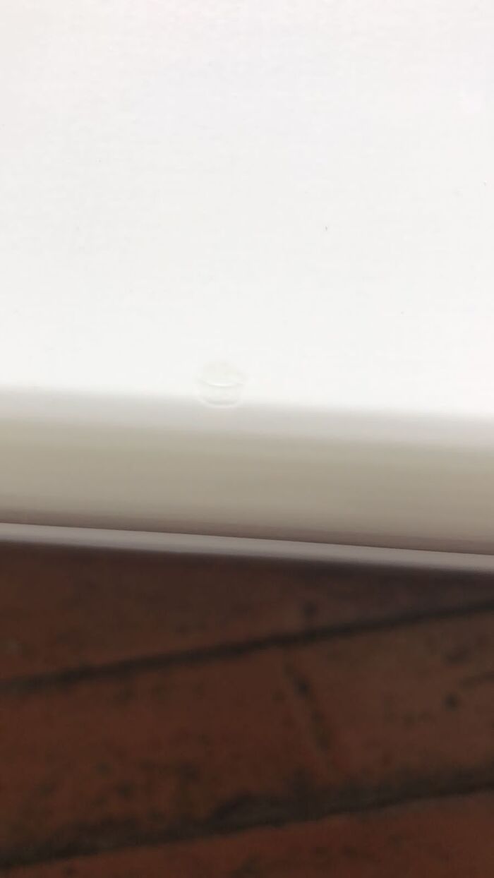 Скол на крышке