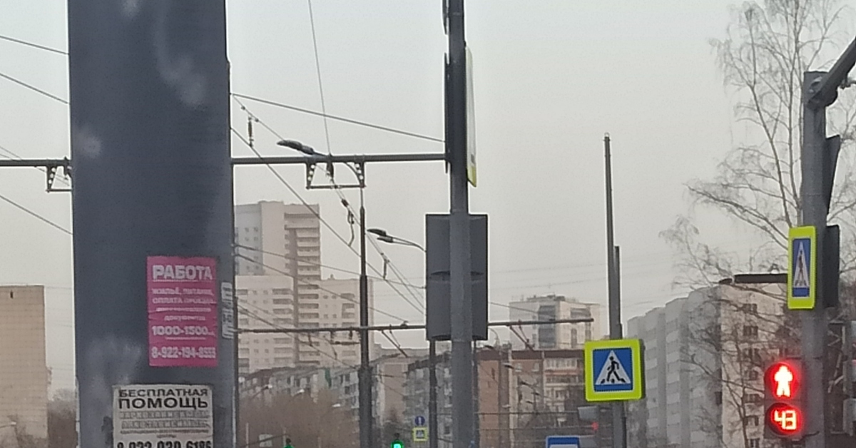 Яндекс прокат петухкатов 0+ | Пикабу