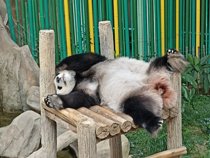 ���������� ����� ���� ��������