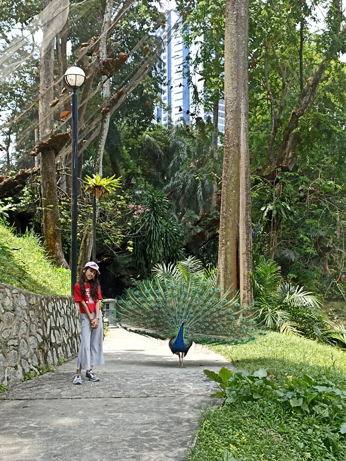 ��������� � ����