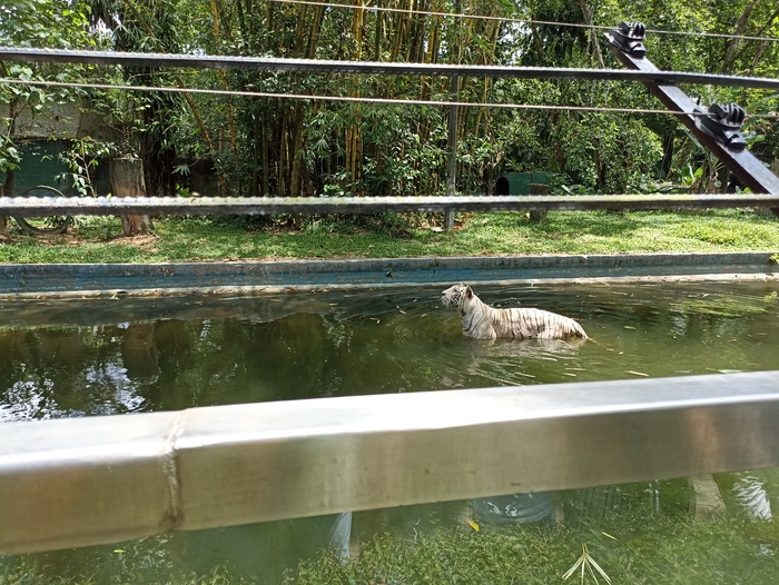 ��� ���� ������� ���� ������� ��� �������� - ����� ����!