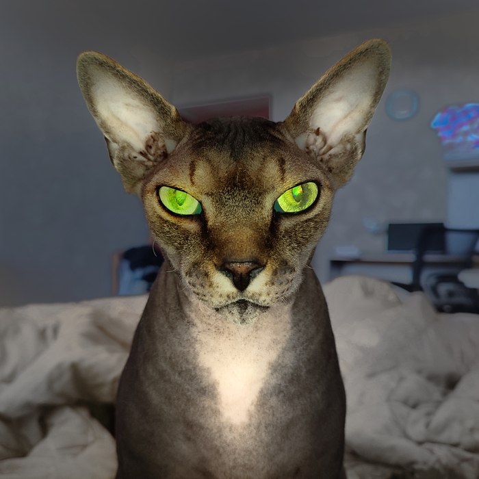 "Где корм, Лебовски?"