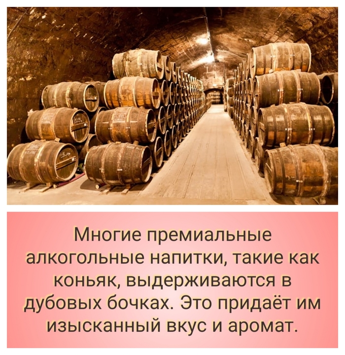 5      , , , , , ,  (), Telegram