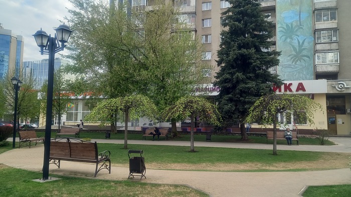 Ответ на пост «Воронежские будни» Мобильная фотография, Город, Парк, Воронеж, Весна, Длиннопост