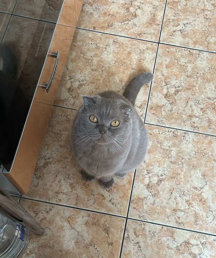 Жрёте без меня ?