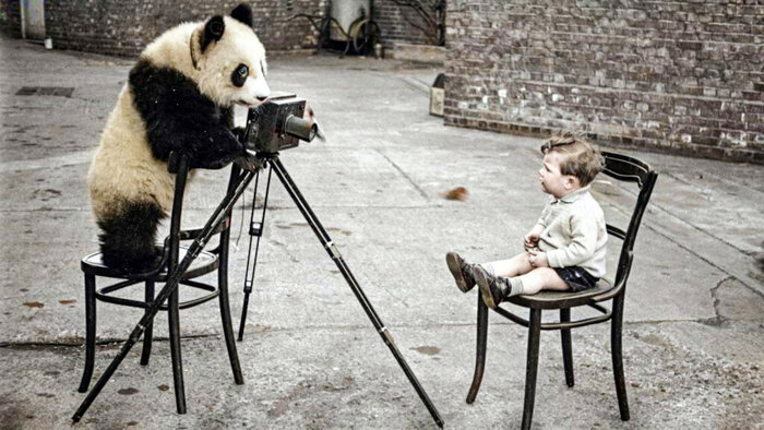 ��������: ���� �����