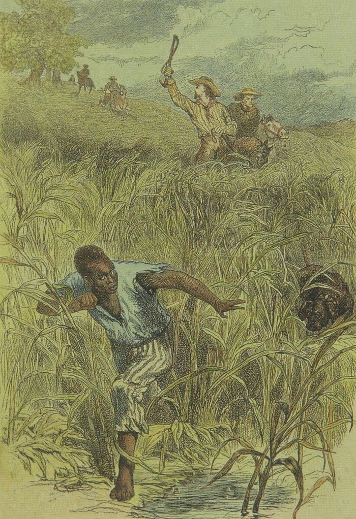 Племенной бык История (наука), Рабовладение, Бразилия, Рабы, Длиннопост, Рабство Племенной бык История (наука), Рабовладение, Бразилия, Рабы, Длиннопост, Рабство