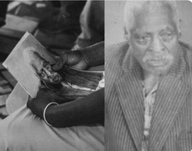 Племенной бык История (наука), Рабовладение, Бразилия, Рабы, Длиннопост, Рабство Племенной бык История (наука), Рабовладение, Бразилия, Рабы, Длиннопост, Рабство