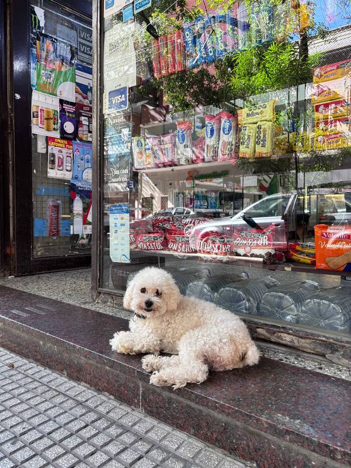 ���� �� �����, � � ������� �������� ����������� �� ������, ������� ��� �������. ������ ���������, ������. � �� ������, ��� � ��� �� ������ � �������� ����, ��������, �����������, ��� ����� ������ � ��